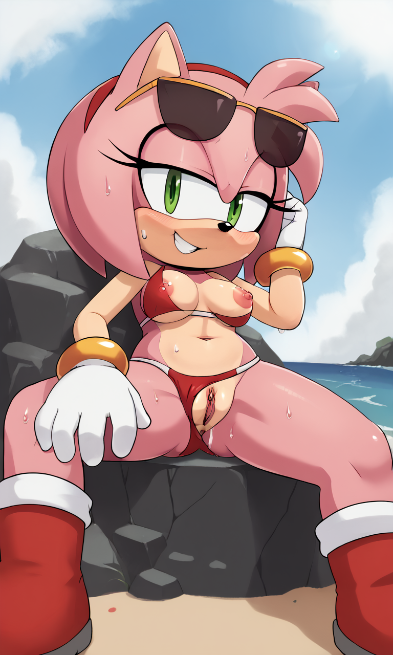 Amy Rose (Sonic (Series)) Rule 34 Image