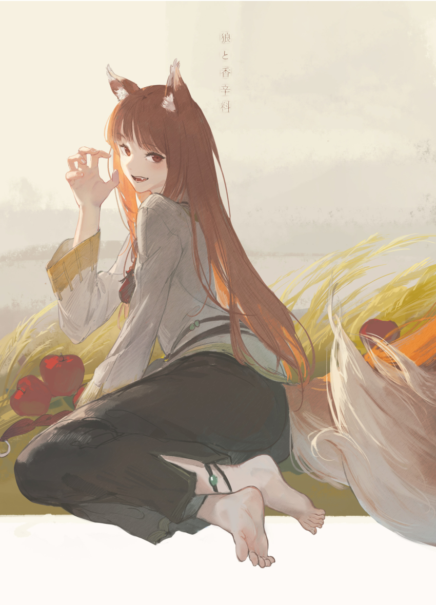 Holo (Spice And Wolf) Rule 34 Image