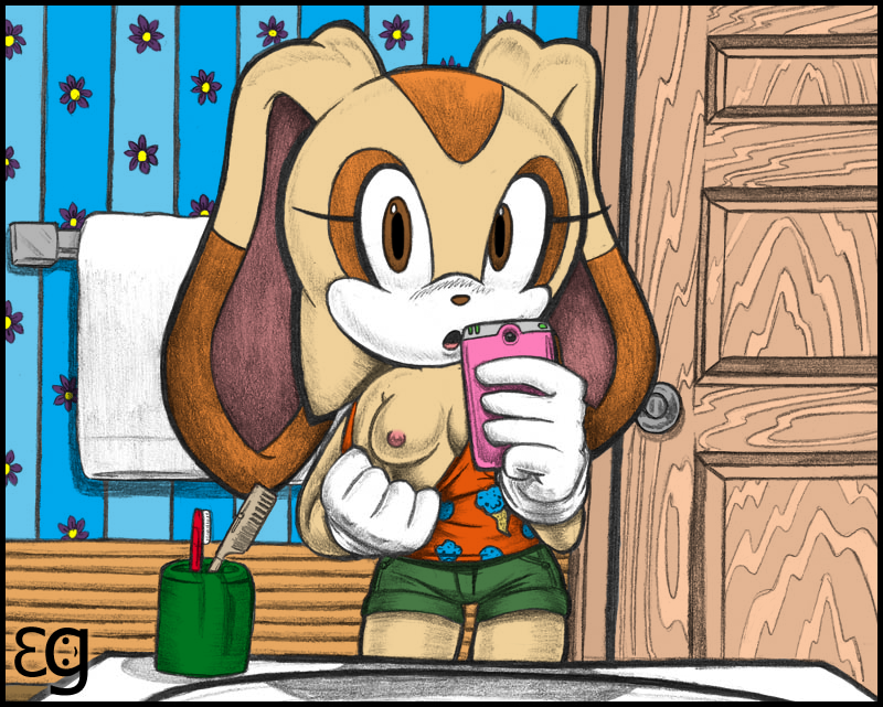 Cream The Rabbit (Sonic (Series)) Rule 34 Image