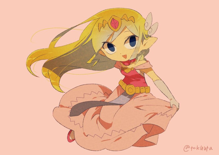Princess Zelda (Nintendo) Rule 34 Image