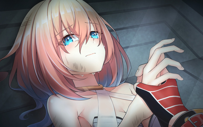Shironeko Project Rule 34 Image