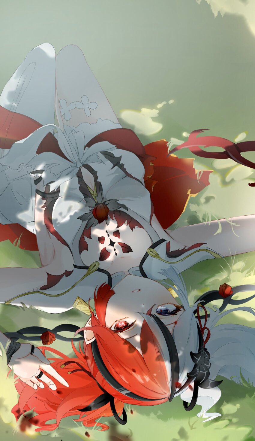 Camellya (Wuthering Waves) Rule 34 Image