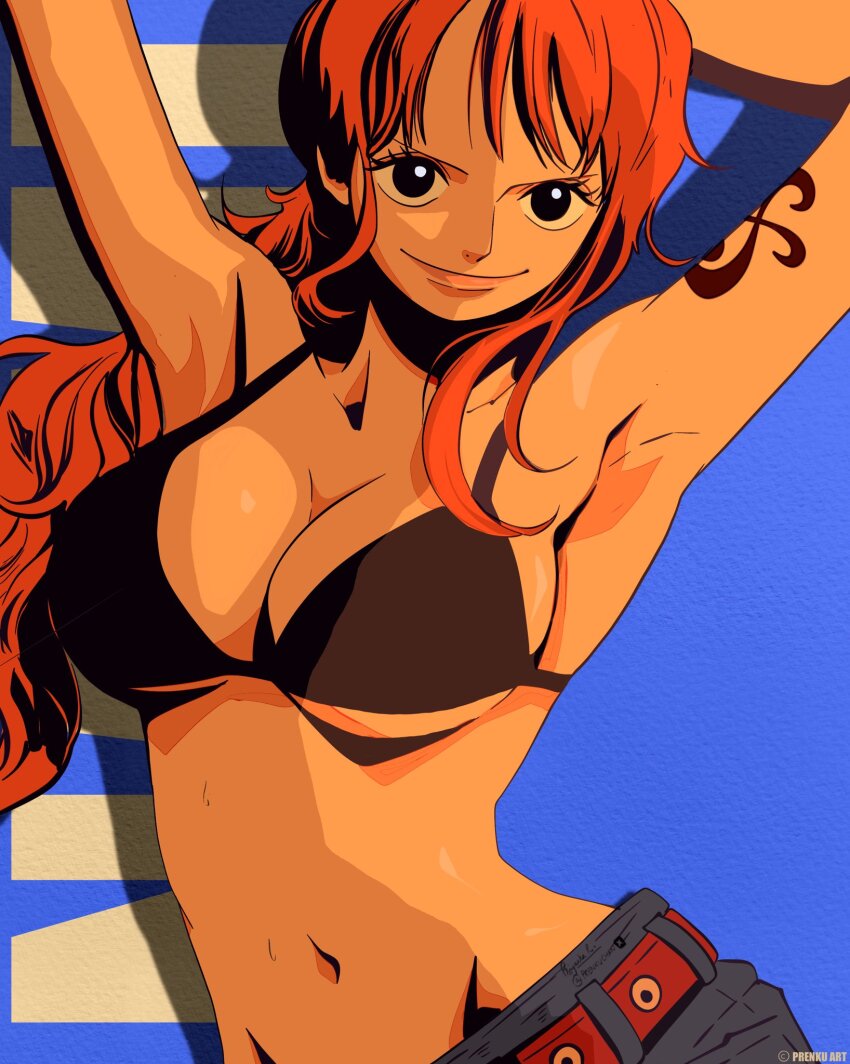 Nami (One Piece) Rule 34 Image