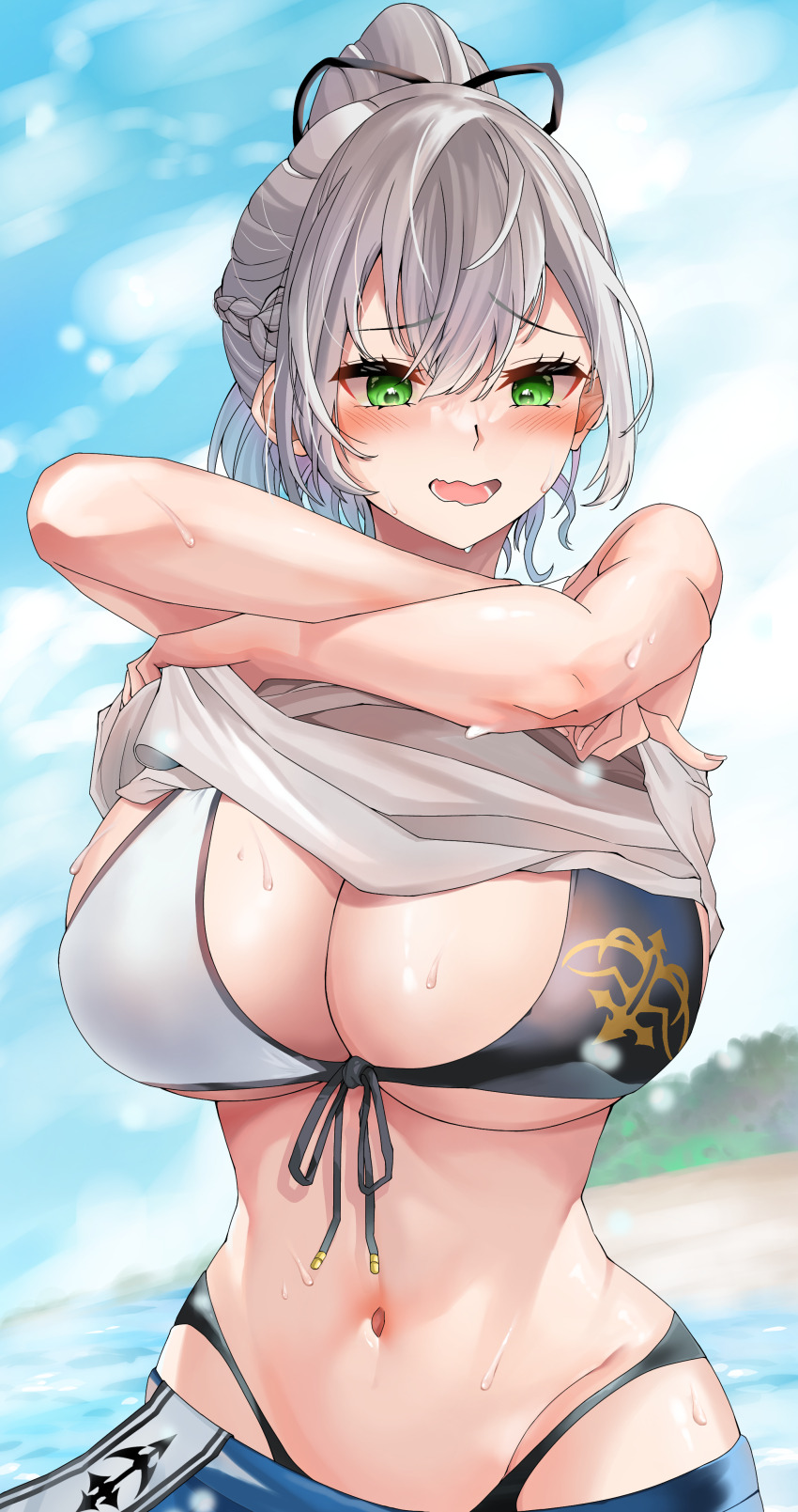 Shirogane Noel (Hololive) Rule 34 Image