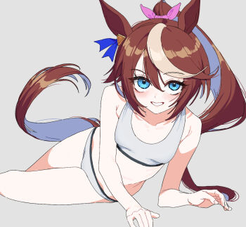Tokai Teio (Umamusume) Rule 34 Image