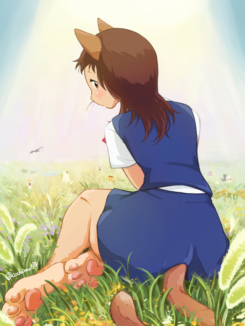 Neko No Ongaeshi Rule 34 Image