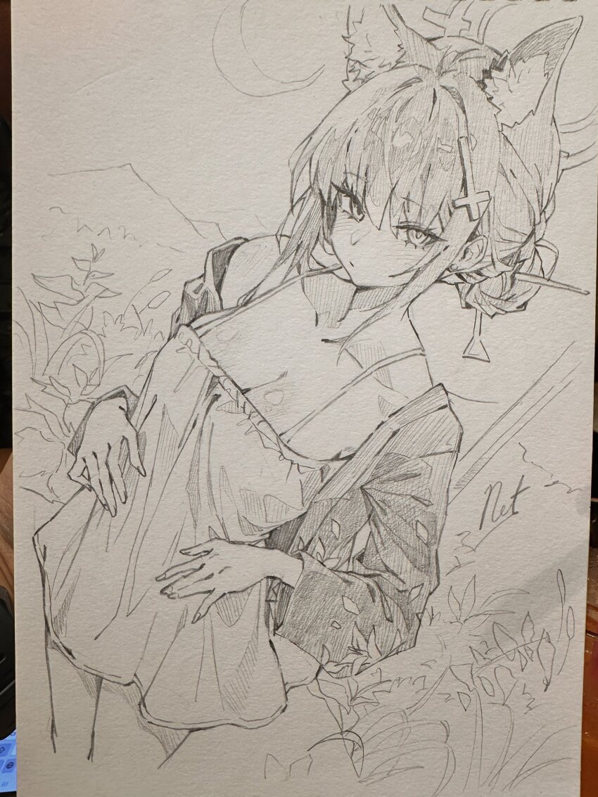 Shiroko (Blue Archive) Rule 34 Image