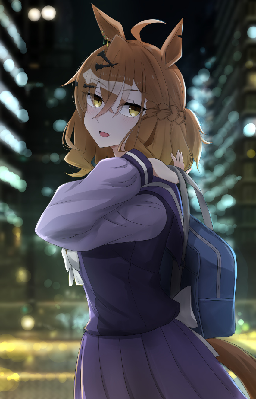 Jungle Pocket (Umamusume) Rule 34 Image