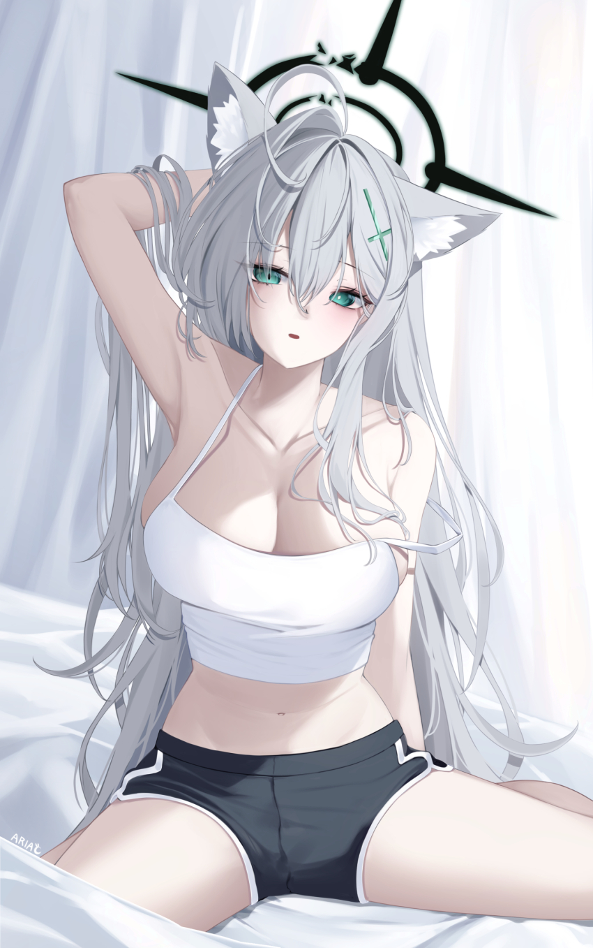 Shiroko Terror (Blue Archive) Rule 34 Image