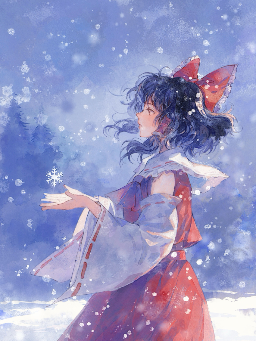 Hakurei Reimu (Touhou) Rule 34 Image