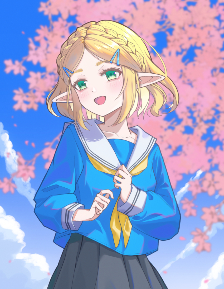 Princess Zelda (Nintendo) Rule 34 Image
