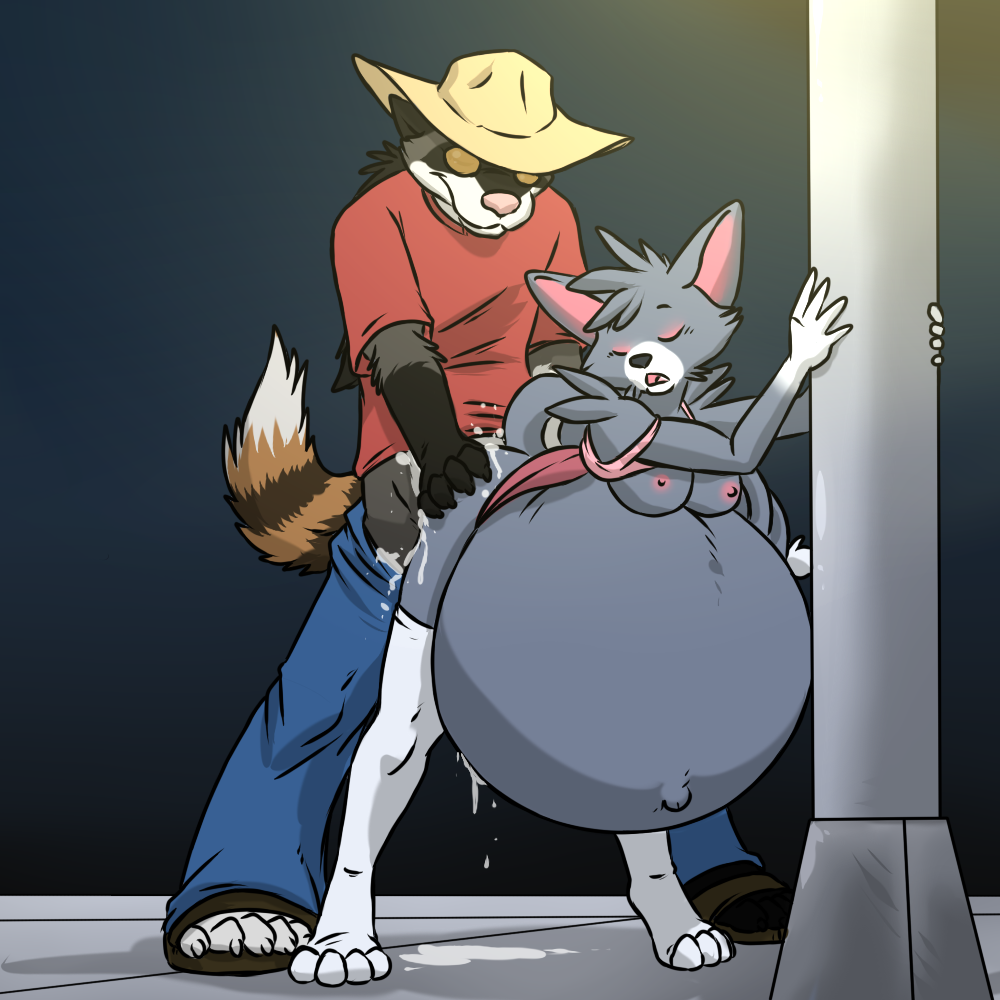 Glameow (Nintendo) Rule 34 Image
