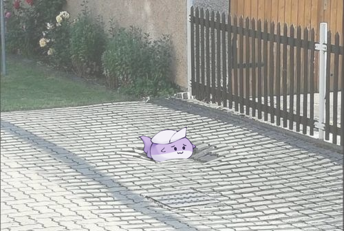 Letty Whiterock (Touhou) Rule 34 Image