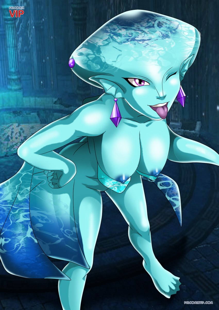 Princess Ruto (Hyrule Warriors) Rule 34 Image