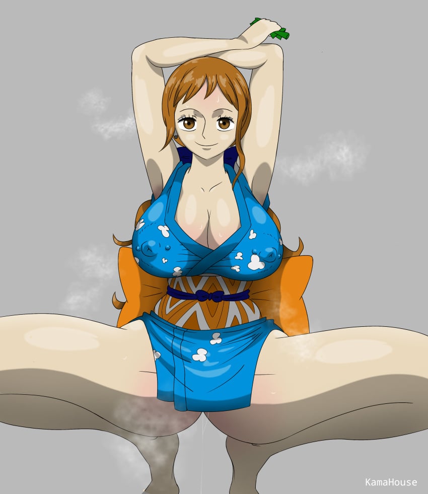 Nami (One Piece) Rule 34 Image