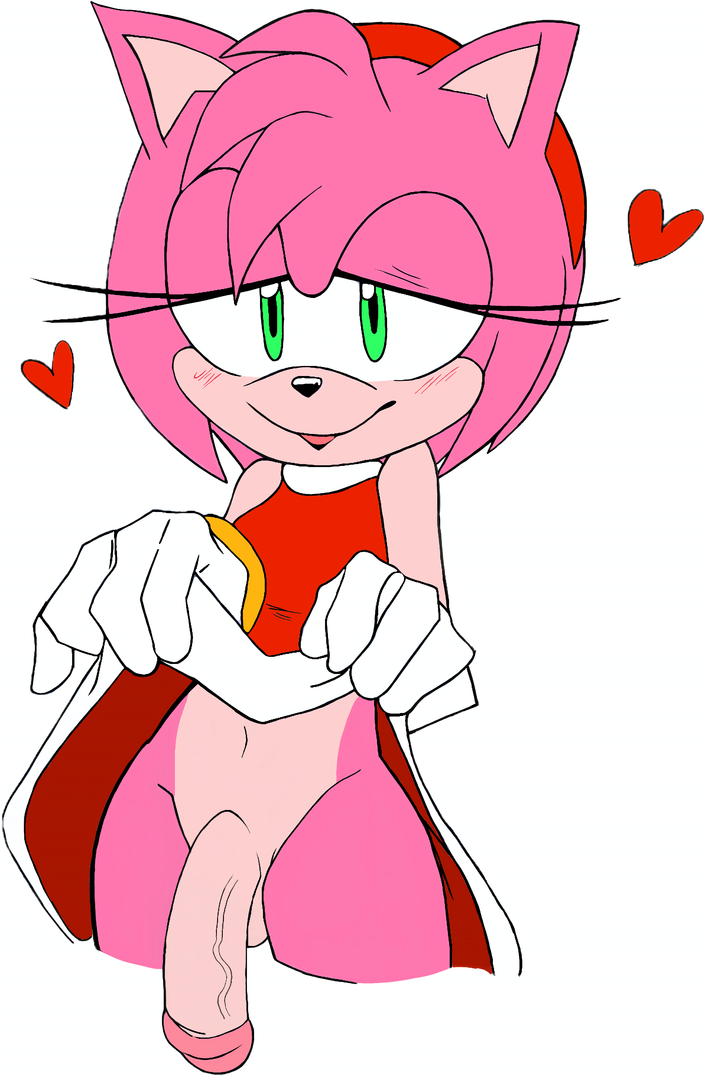Amy Rose (Sega) Rule 34 Image