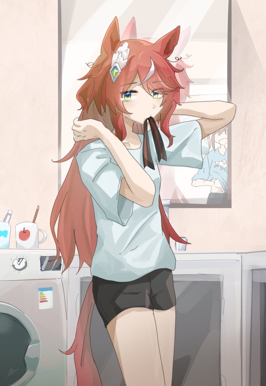 Cheval Grand (Umamusume) Rule 34 Image