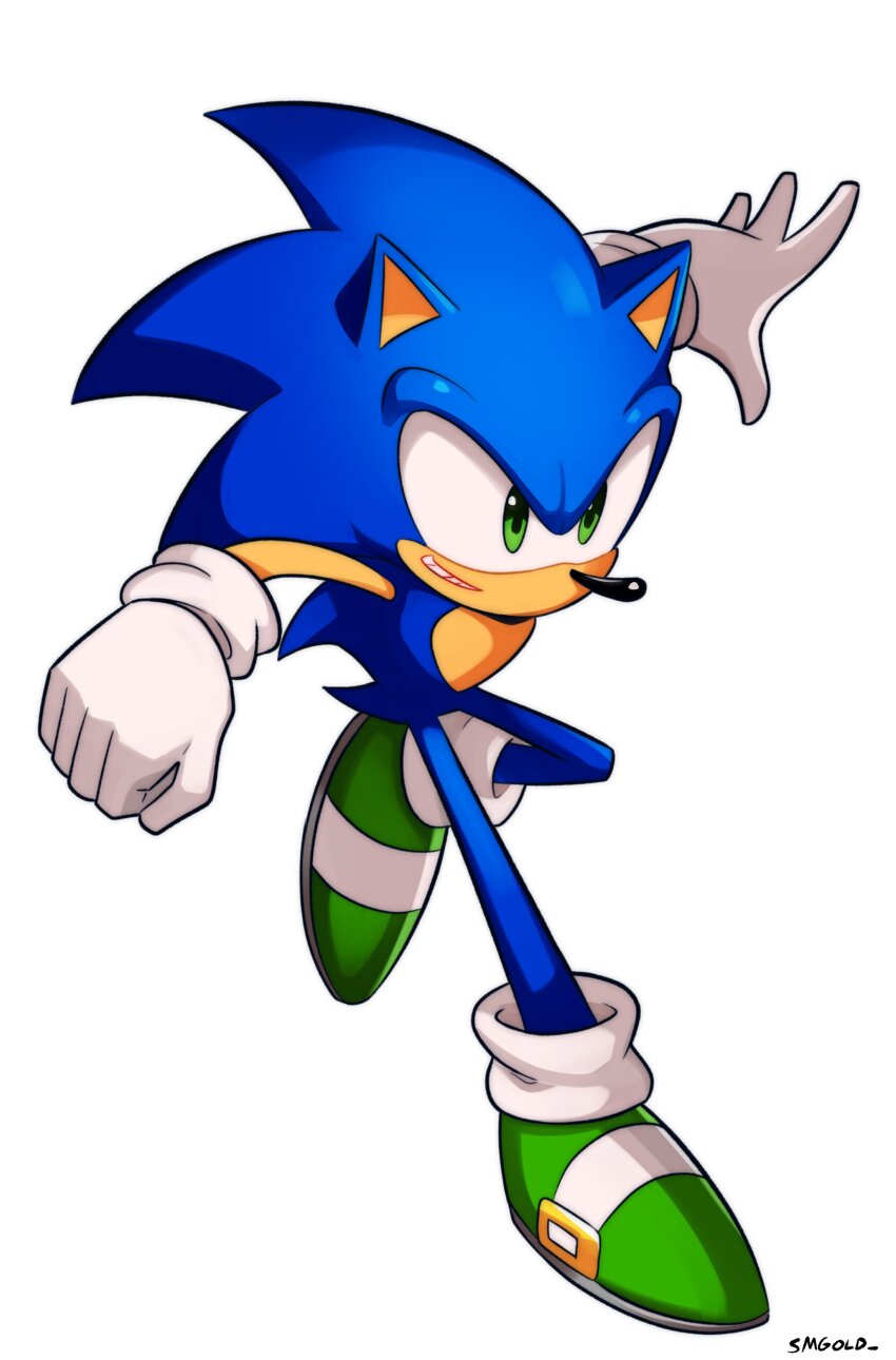 Sonic The Hedgehog (Sonic (Series)) Rule 34 Image