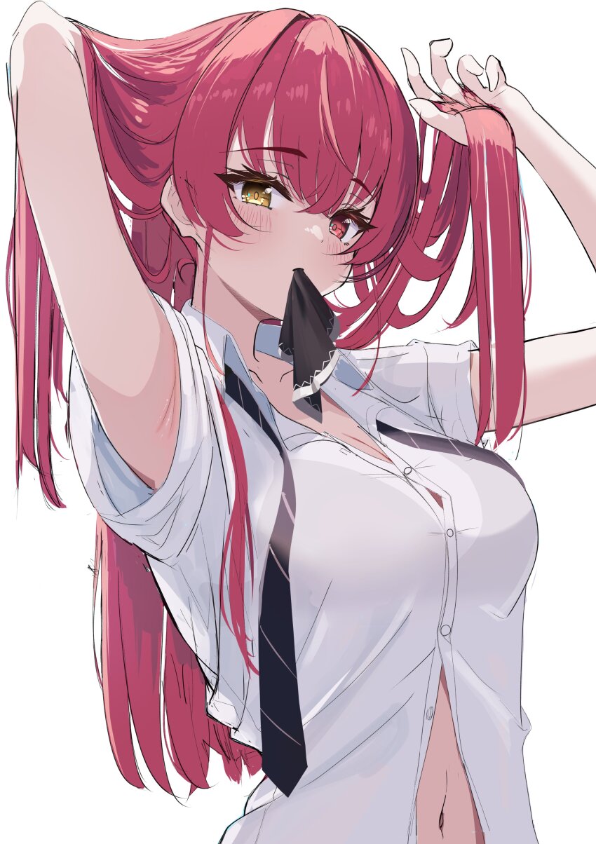 Houshou Marine (Hololive) Rule 34 Image
