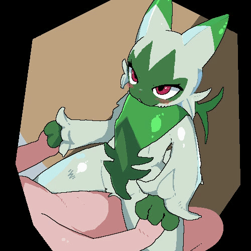 Floragato (Nintendo) Rule 34 Image