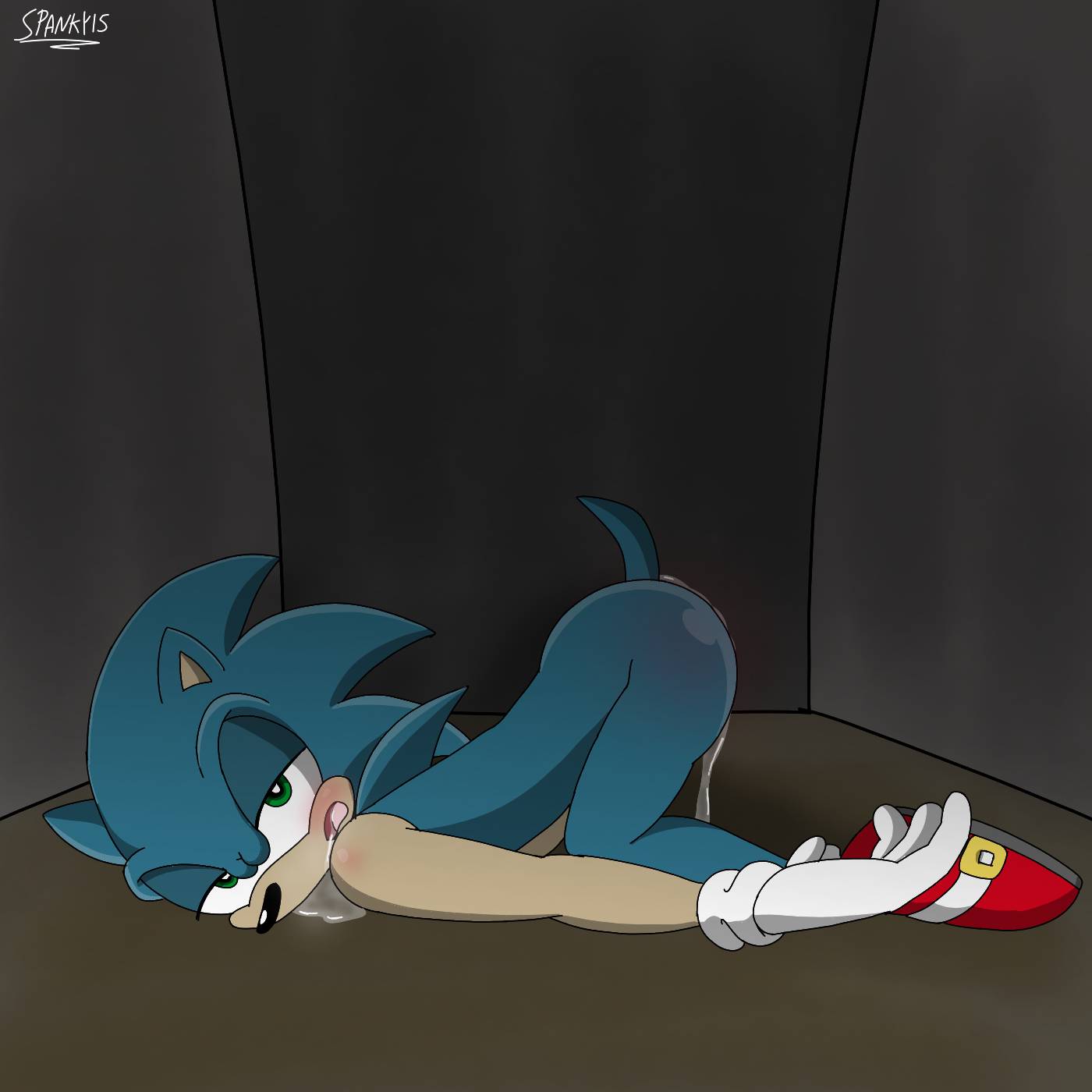 Sonic The Hedgehog (Sonic (Series)) Rule 34 Image