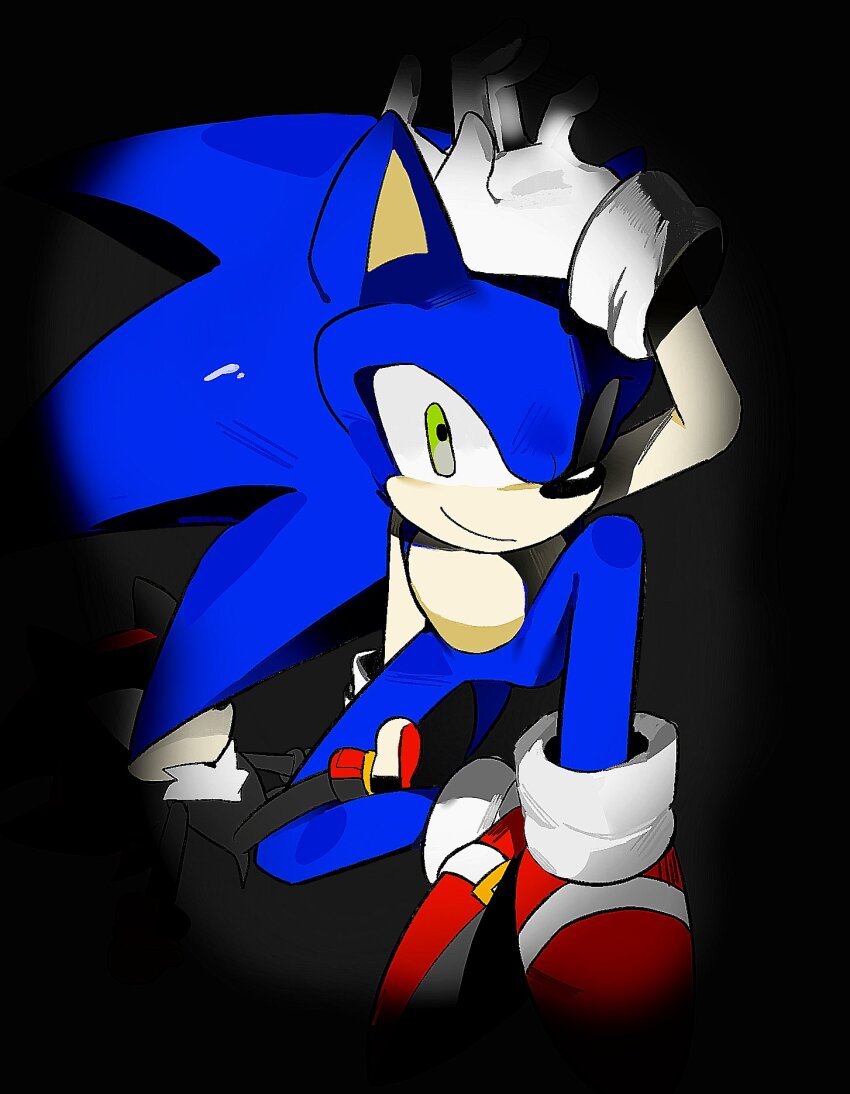 Shadow The Hedgehog (Sonic (Series)) Rule 34 Image