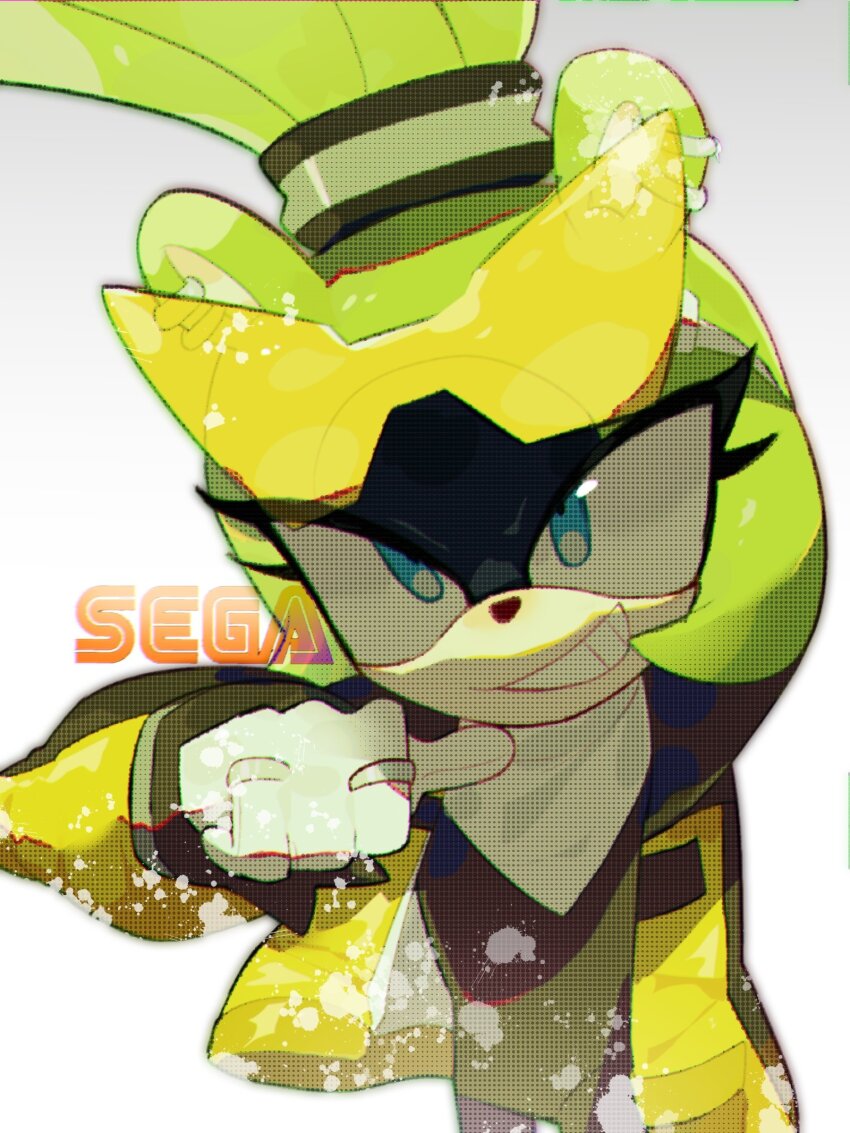 Surge The Tenrec (Sega) Rule 34 Image