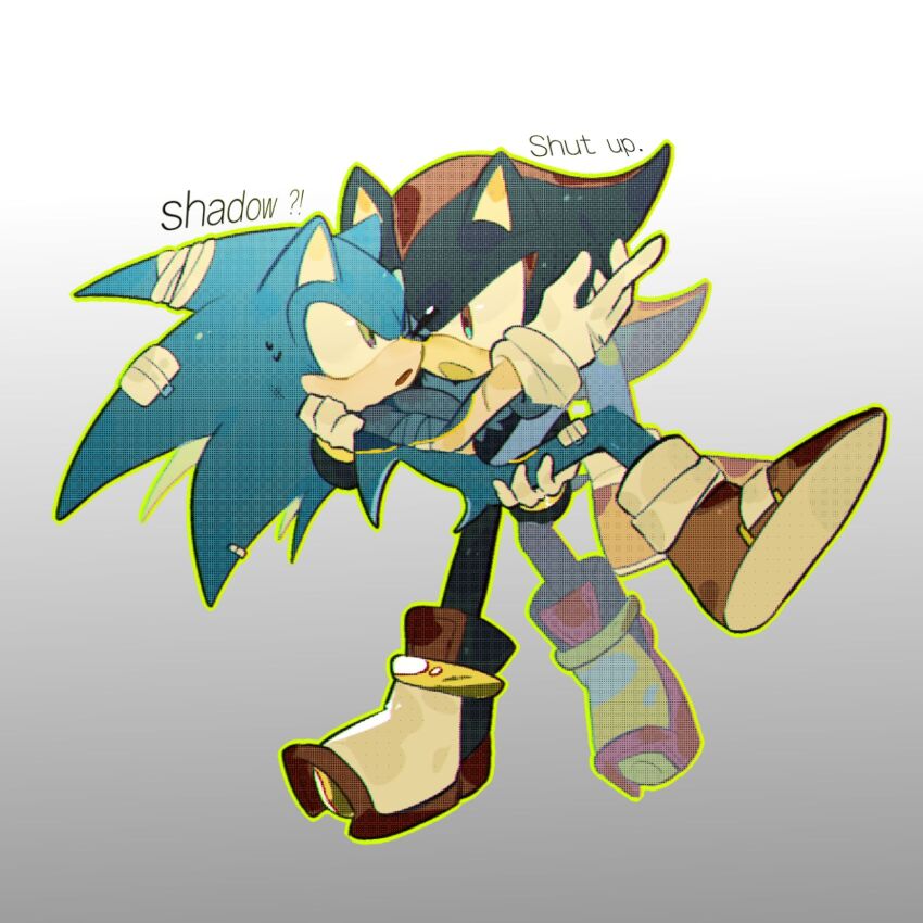 Shadow The Hedgehog (Sonic (Series)) Rule 34 Image