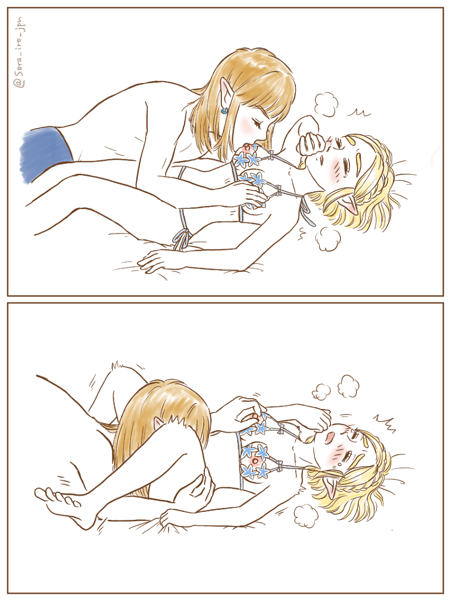 Link (Nintendo) Rule 34 Image