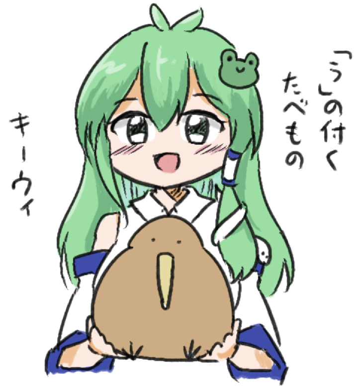 Kochiya Sanae (Touhou) Rule 34 Image