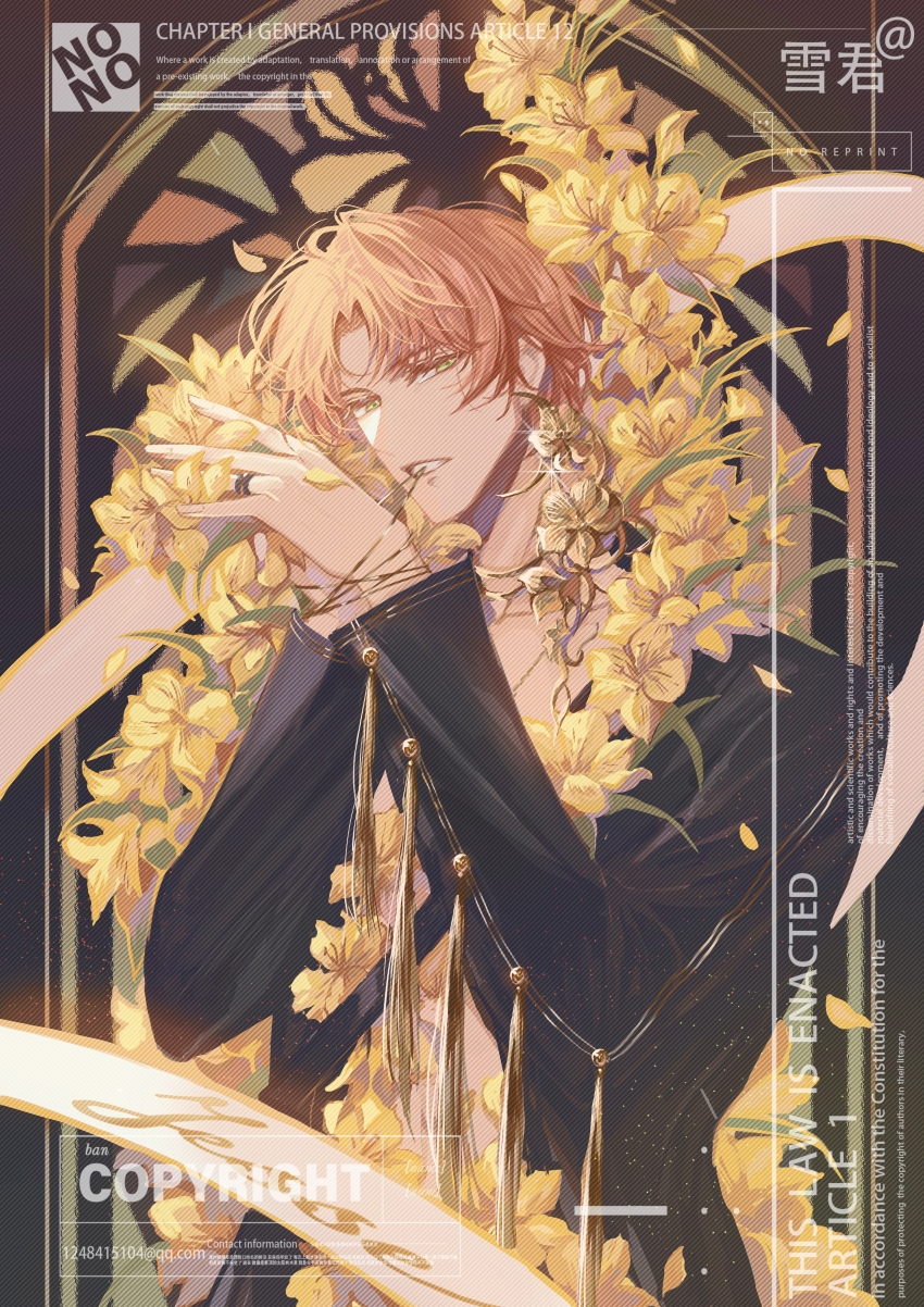 Alstroemeria (Flower) Rule 34 Image