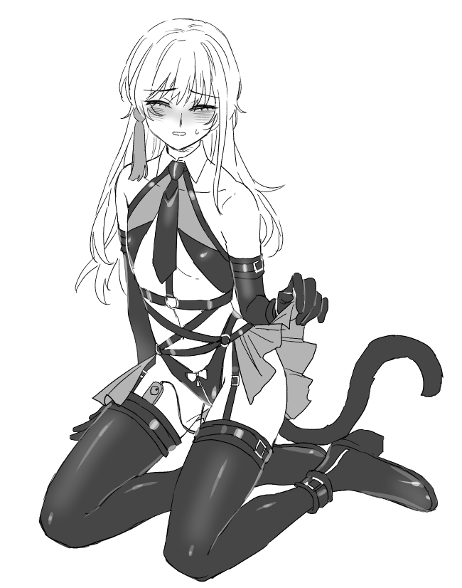 Fate/Samurai Remnant Rule 34 Image