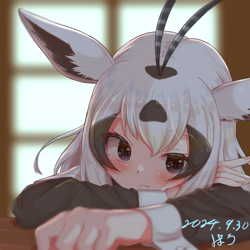Arabian Oryx (Kemono Friends) Rule 34 Image