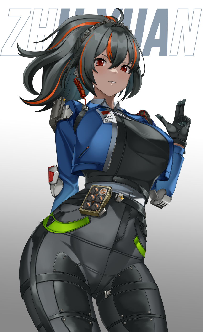 Zhu Yuan (Zenless Zone Zero) Rule 34 Image