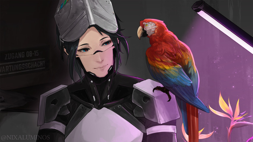 Signalis Rule 34 Image