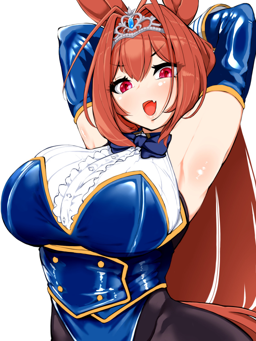Daiwa Scarlet (Umamusume) Rule 34 Image