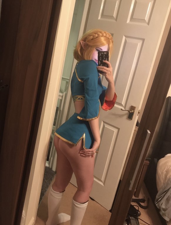 Princess Zelda (Nintendo) Rule 34 Image