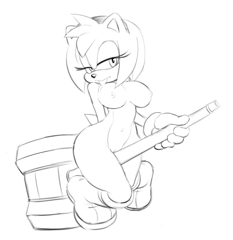 Amy Rose (Sonic (Series)) Rule 34 Image
