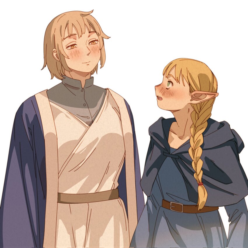 Falin Touden (Dungeon Meshi) Rule 34 Image