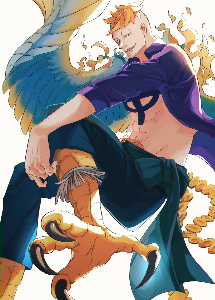 Marco (One Piece) Rule 34 Image