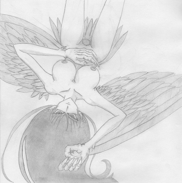 Harpie Lady (Yu-Gi-Oh!) Rule 34 Image