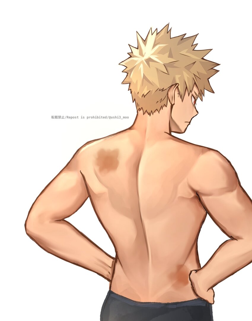 Bakugou Katsuki (Boku No Hero Academia) Rule 34 Image