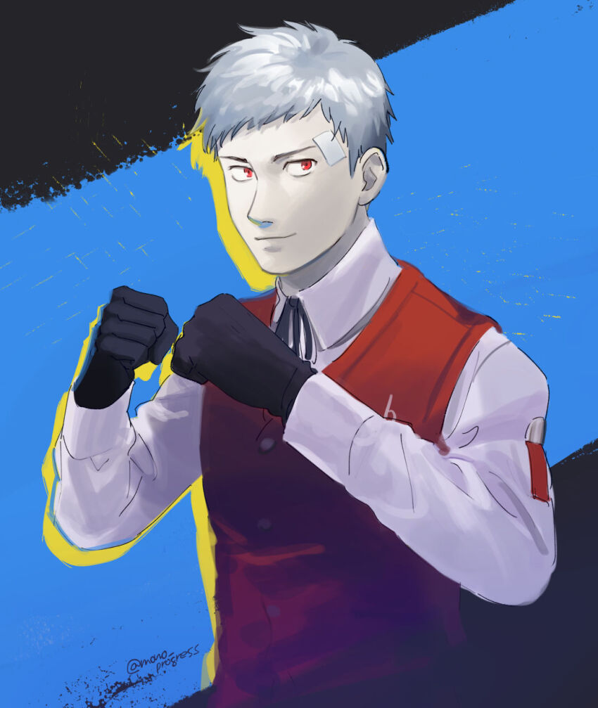 Sanada Akihiko (Persona) Rule 34 Image