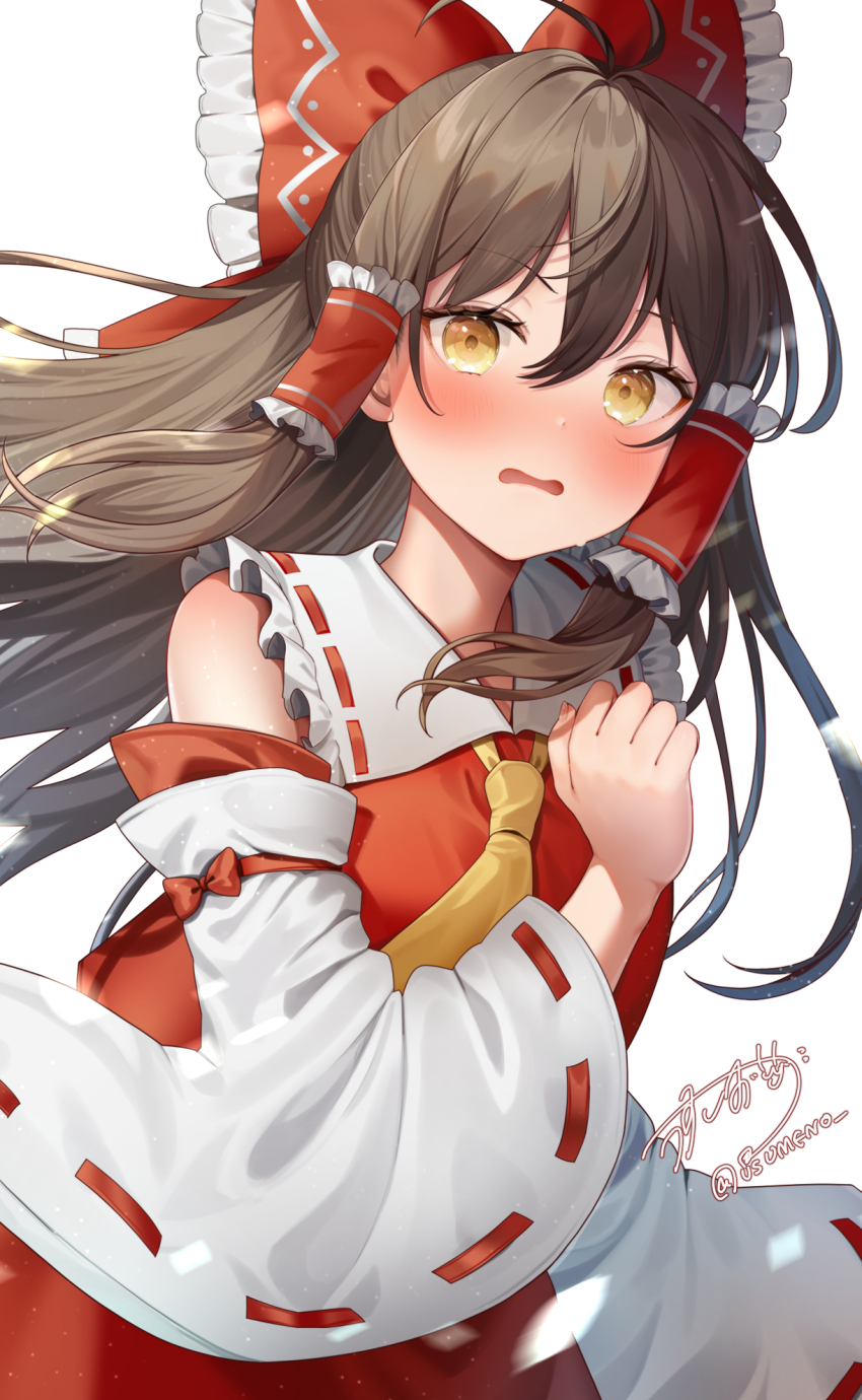 Hakurei Reimu (Touhou) Rule 34 Image