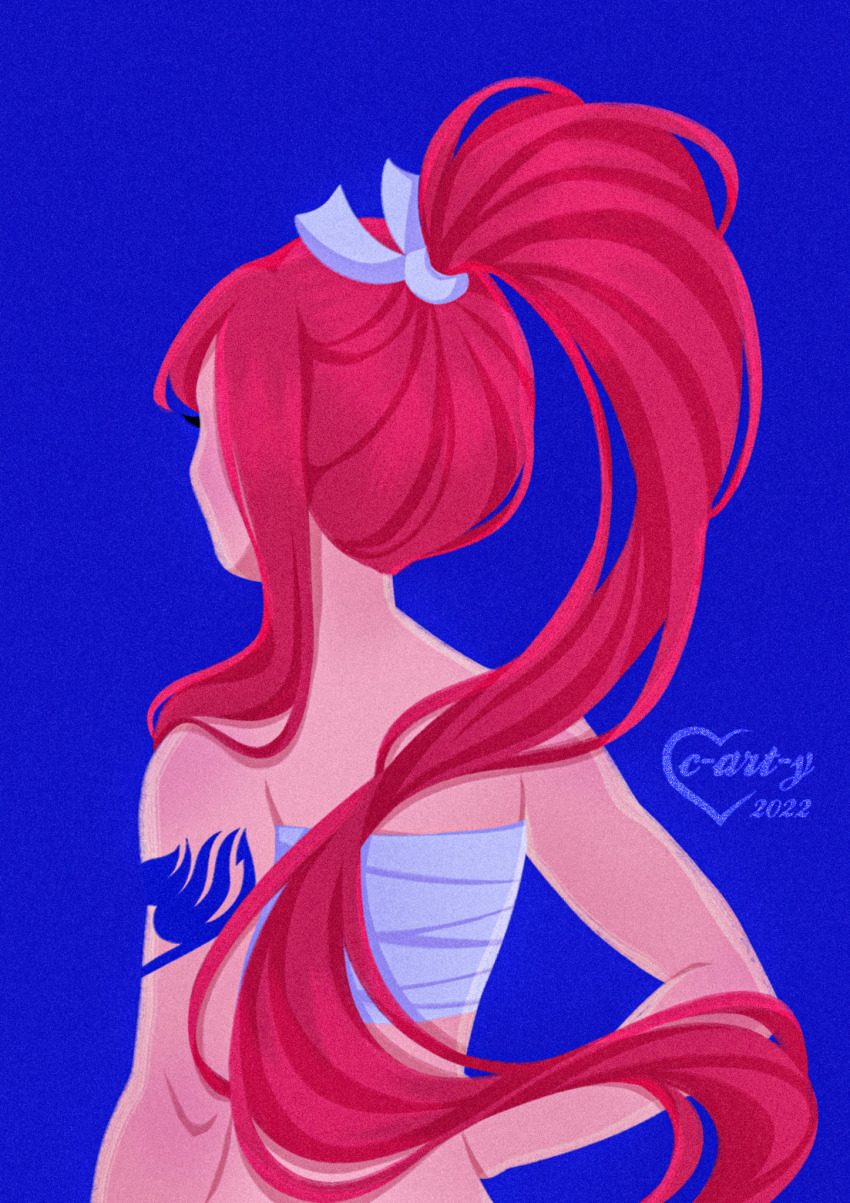 Erza Scarlet (Fairy Tail) Rule 34 Image