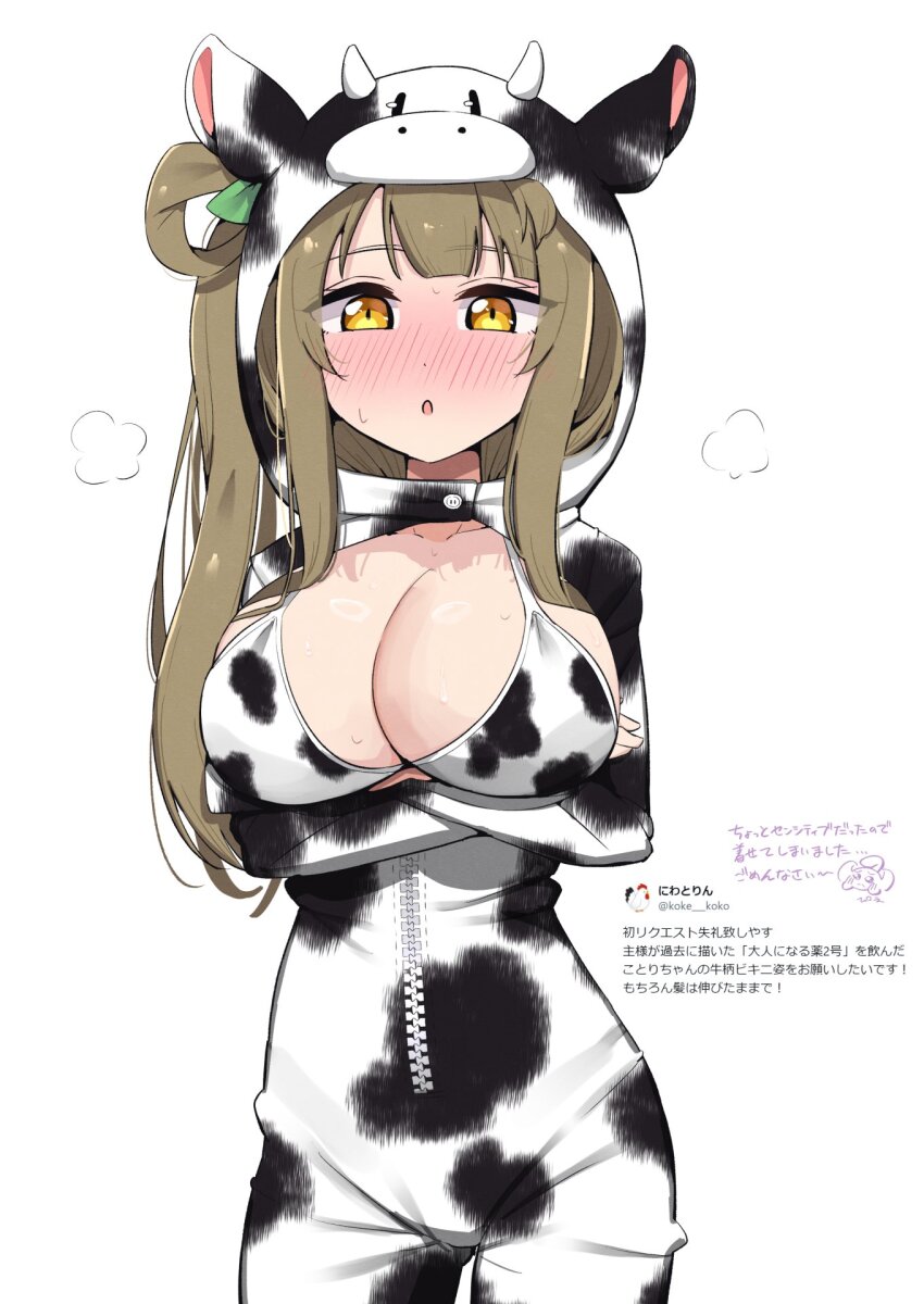 Minami Kotori (Love Live!) Rule 34 Image