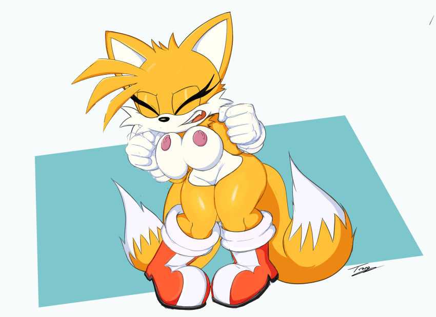 Tails The Fox (Sonic (Series)) Rule 34 Image
