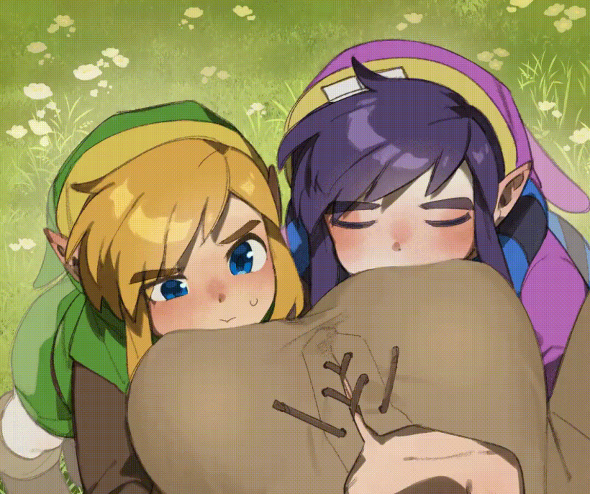 Link (Nintendo) Rule 34 Image