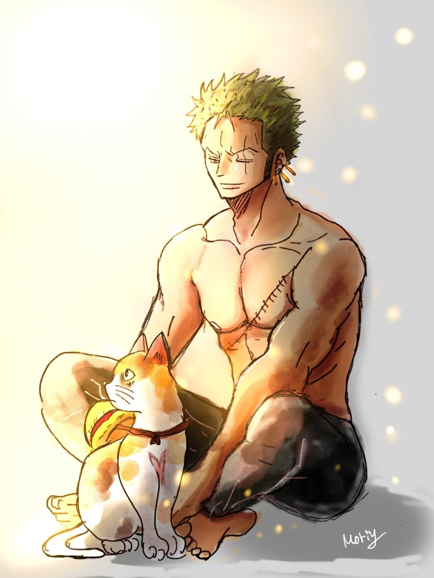 Roronoa Zoro (One Piece) Rule 34 Image