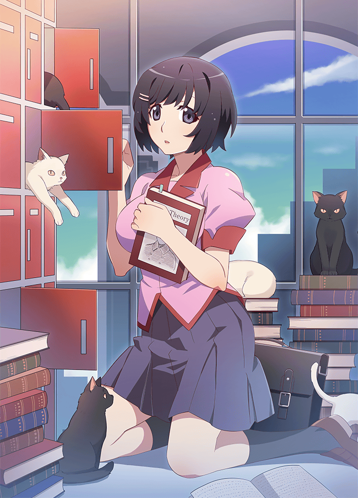 Hanekawa Tsubasa (Monogatari (Series)) Rule 34 Image